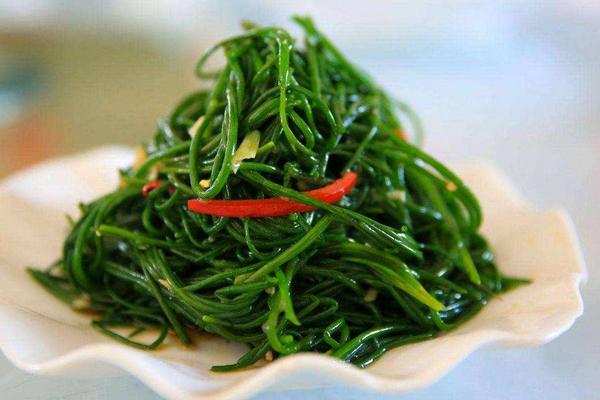 沙蔥畝產量多少斤 大棚種沙蔥賺錢嗎