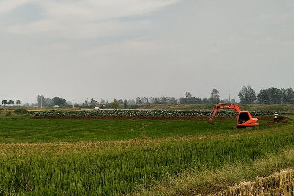 農村能日賺500的項目有哪些