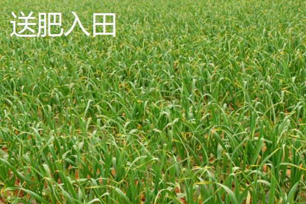 農村能日賺500的項目有哪些