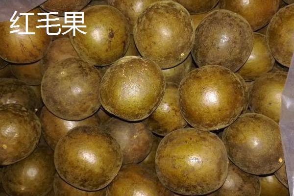 羅漢果有幾種品種 羅漢果分別有哪些顏色