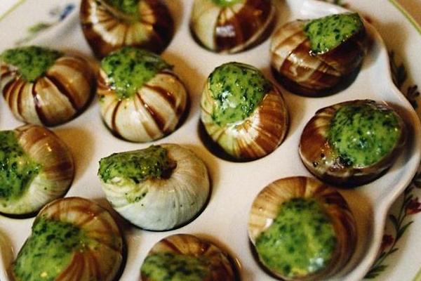 2019年搞養(yǎng)殖還能賺錢嗎（養(yǎng)什么好）