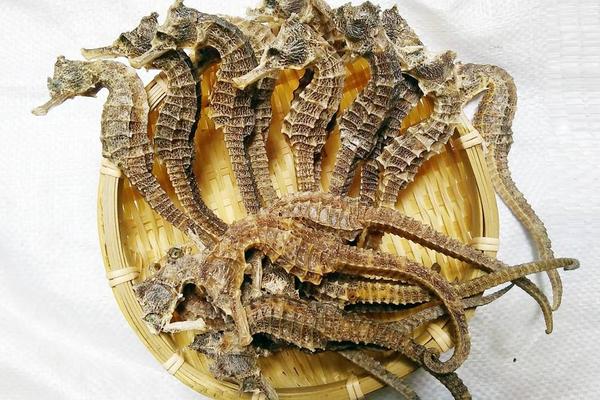 目前長年緊缺的中藥材有哪幾種