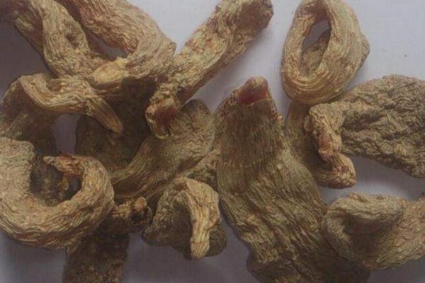 目前長年緊缺的中藥材有哪幾種