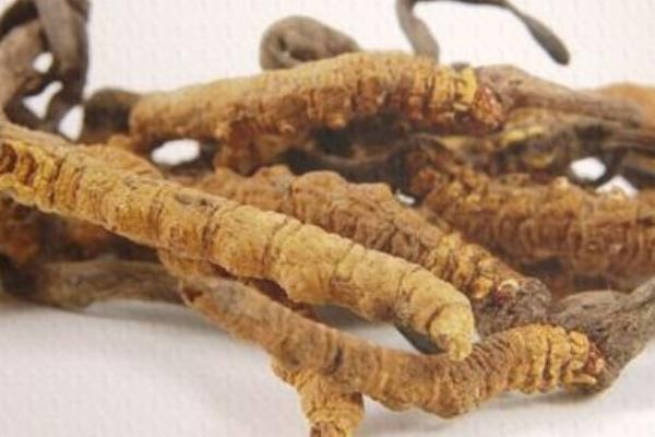 未來幾年什么藥材會緊缺很有市場