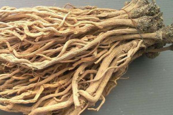 未來幾年什么藥材會緊缺很有市場