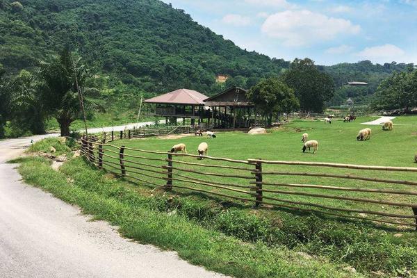 10個適合北方農村創業的項目