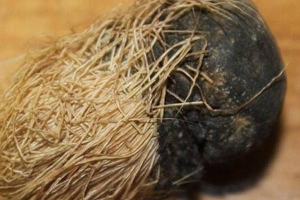 未來幾年什么藥材會緊缺很有市場