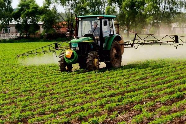 2019年回農村種菜賺錢嗎