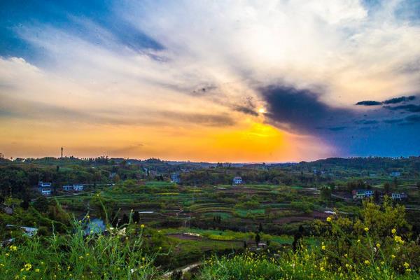 2019年在農村投入小能致富的項目有哪些