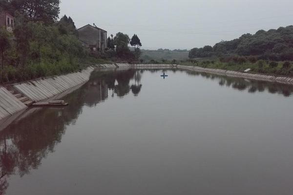 2019年農村賺錢項目預測有哪些