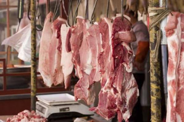 毛豬價格多少錢一斤