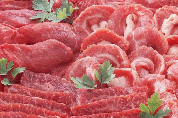 毛豬價格多少錢一斤