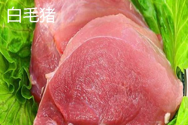 黑毛豬和白毛豬的區(qū)別