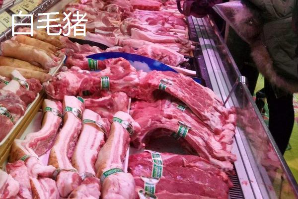 黑毛豬和白毛豬的區(qū)別