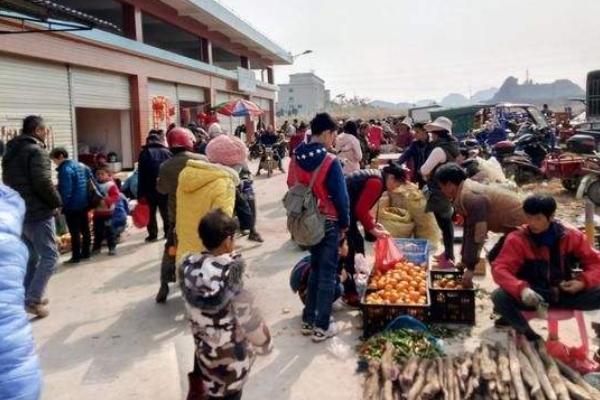 冬季農(nóng)村適合做什么生意