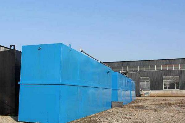 年輕人回農村能干什么