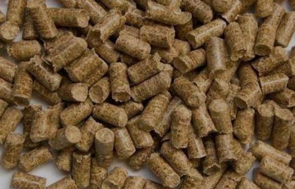 如何減少養豬成本