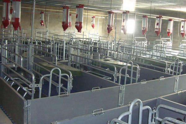 豬的產床多少錢