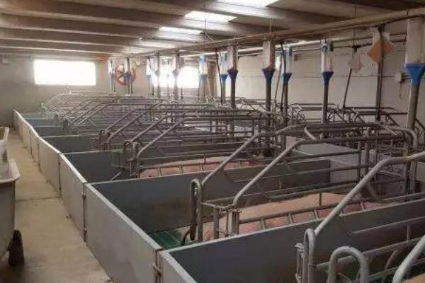 豬的產床多少錢