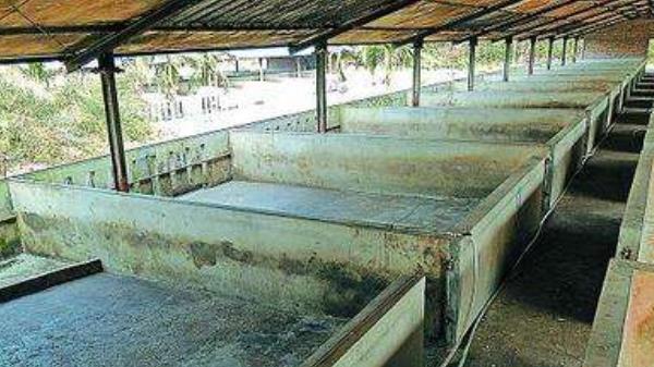養豬場廢水怎么處理