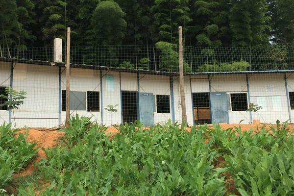 養雞場能不能建在村莊