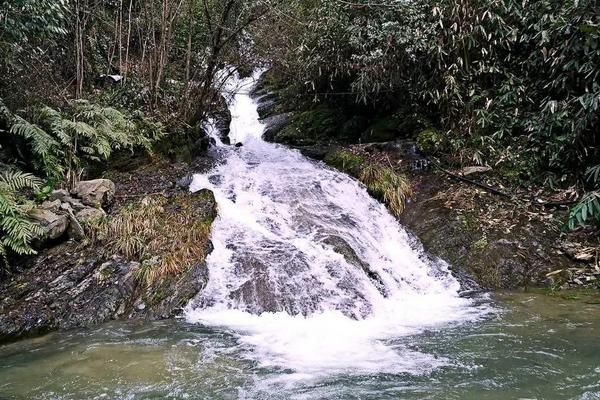 養雞場有污染嗎