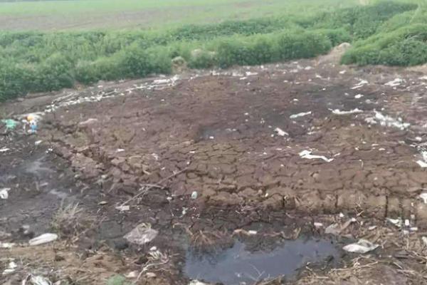 養雞場有污染嗎