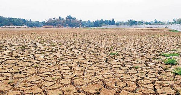 農(nóng)村一畝地能貸款多少