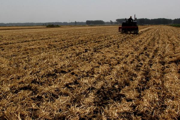 農(nóng)村一畝地能貸款多少