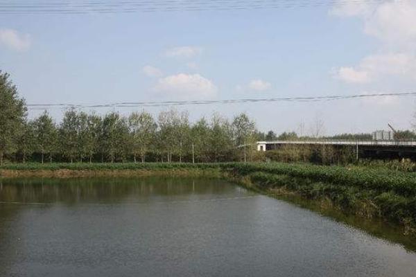 建魚塘有補貼嗎