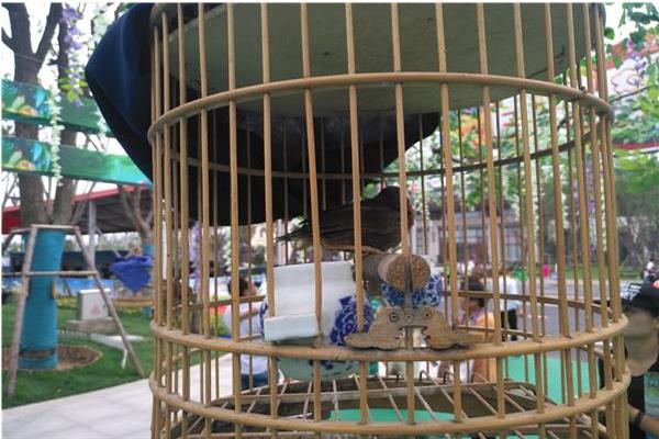 百靈鳥(niǎo)幼鳥(niǎo)怎么養(yǎng) 百靈鳥(niǎo)養(yǎng)殖技術(shù)