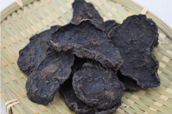 何首烏如何治白發 何首烏治白發偏方