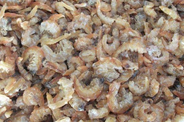 蝦米吃什么 蝦米是海鮮嗎