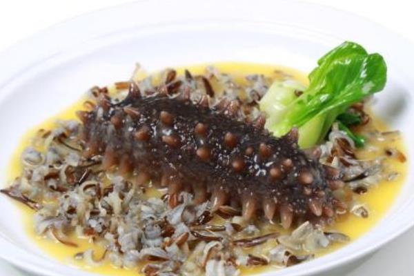 刺參的功效與作用及禁忌 刺參的營養價值