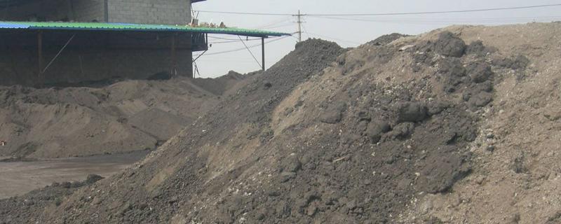 蚯蚓糞適合養(yǎng)哪些花