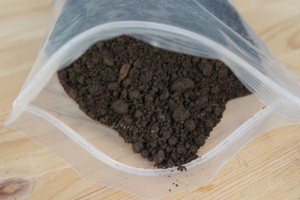 蚯蚓糞適合養哪些花