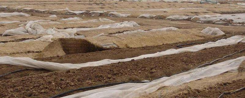 養(yǎng)蚯蚓如何取蚯蚓糞