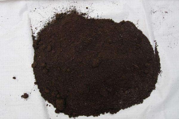 養蚯蚓如何取蚯蚓糞