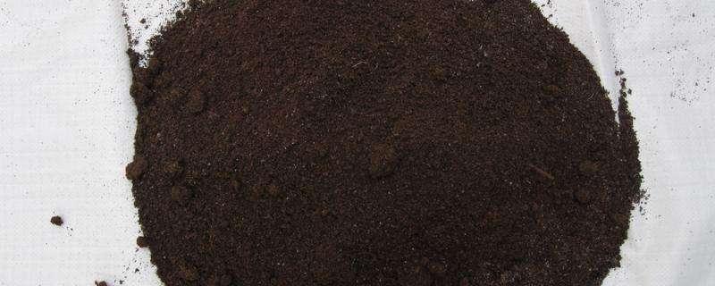 蚯蚓糞的用途