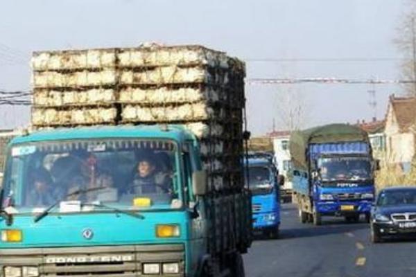 怎樣加盟溫氏養雞