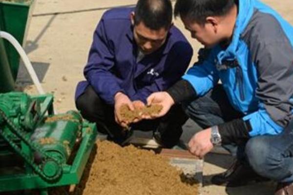 養雞飼料如何配 
