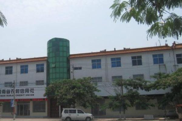 田里養(yǎng)雞需要什么