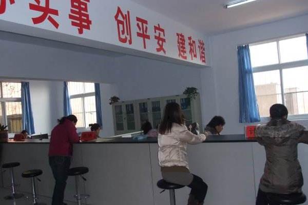 田里養(yǎng)雞需要什么