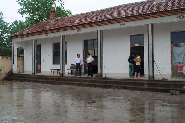 田里養(yǎng)雞需要什么