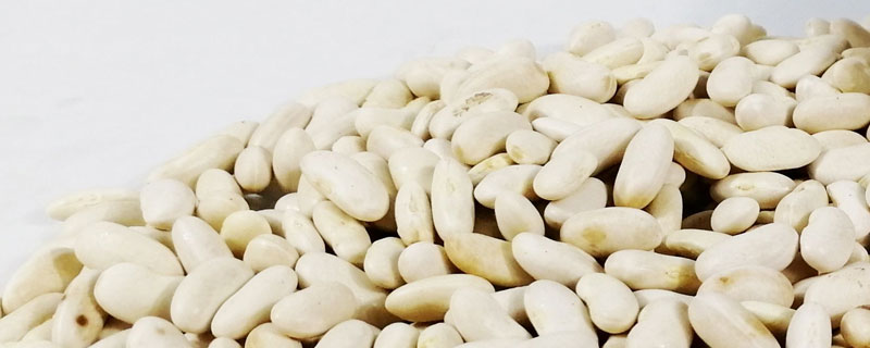 雪豆和白扁豆的區(qū)別