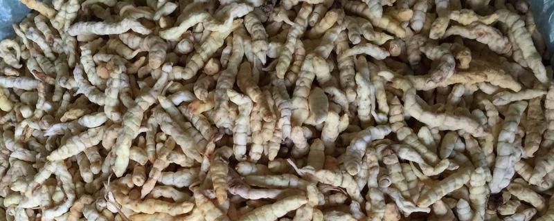 草石蠶多少錢一斤