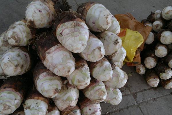 荔蒲芋頭產(chǎn)地在哪里