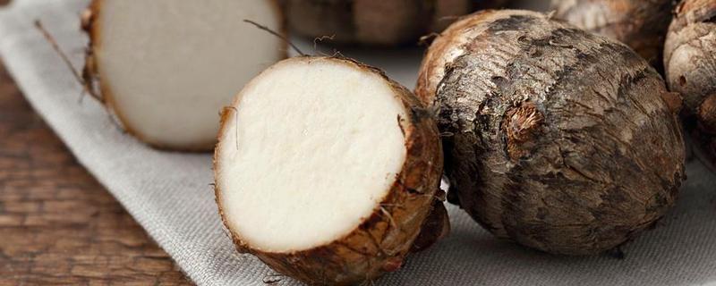 荔蒲芋頭種植前景