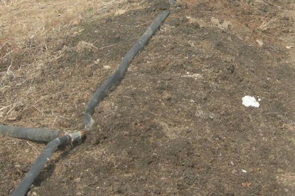 蚯蚓糞畝產量多少