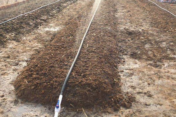 蚯蚓糞畝產量多少